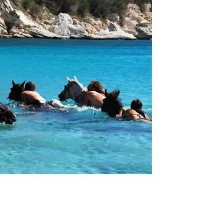 Villa A Casa Di Palombaggia - Piscine Chauffee Porto-Vecchio (Corsica)