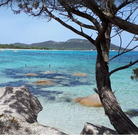 Villa A Casa Di Palombaggia - Piscine Chauffee Porto-Vecchio (Corsica)